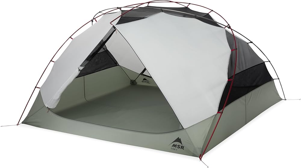 Amazon.com : MSR Elixir 4-Person Lightweight Backpacking Tent