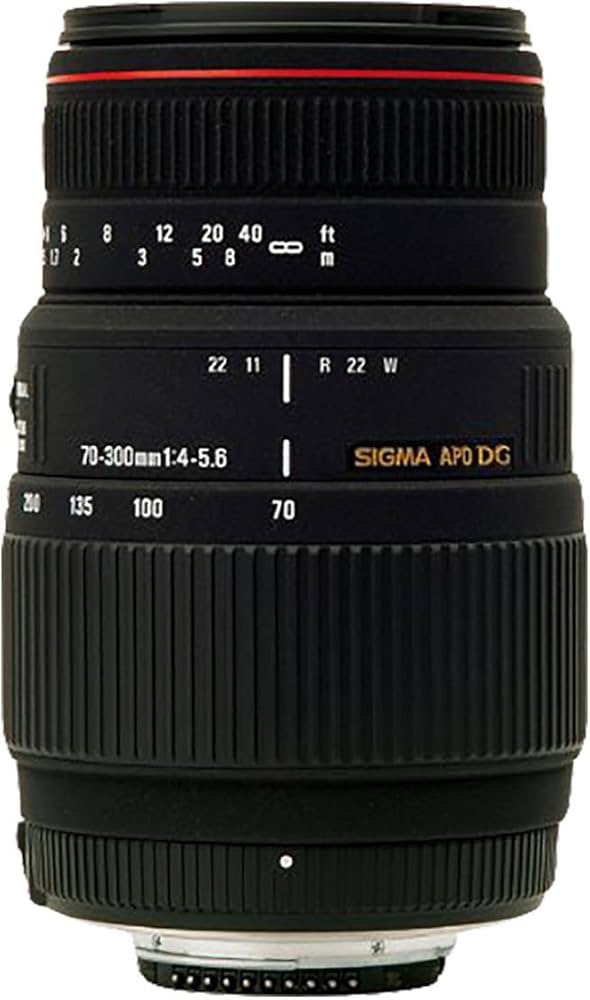Amazon.co.jp: Sigma 70-300mm F4-5.6 APO DG MACRO (Canon) : Electronics