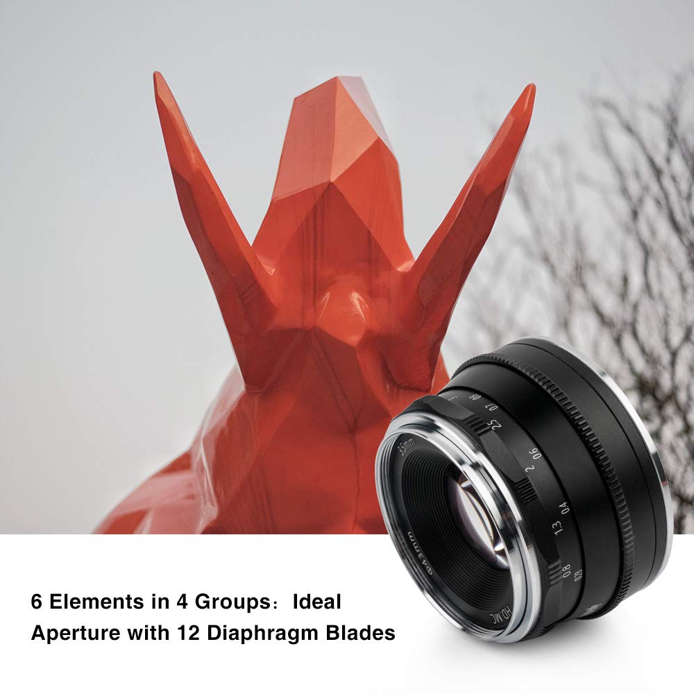 Amazon.co.jp: Pergear 35mm F1.6 交換用レンズ ソニーEマウントカメラ