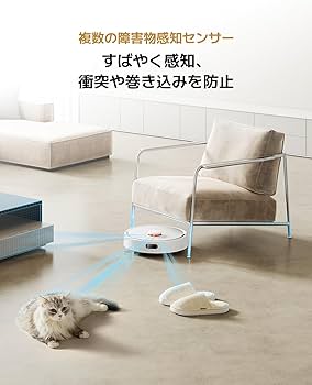 61dpFndjr0L._AC_UF350,