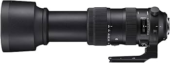 Amazon.co.jp: シグマ(Sigma) SIGMA シグマ Canon EFマウント レンズ