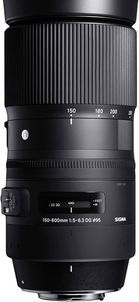 Amazon.com : Sigma 150-600mm 5-6.3 Contemporary DG OS HSM Lens for