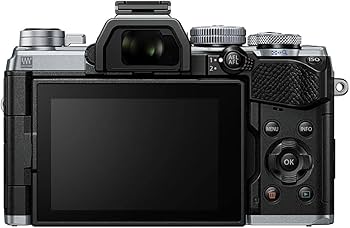 Amazon.com : OM System Olympus OM-D E-M5 Mark III Body Silver