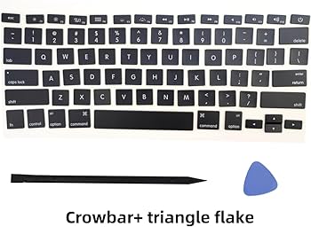 61epFyXrJFL._AC_UF350,