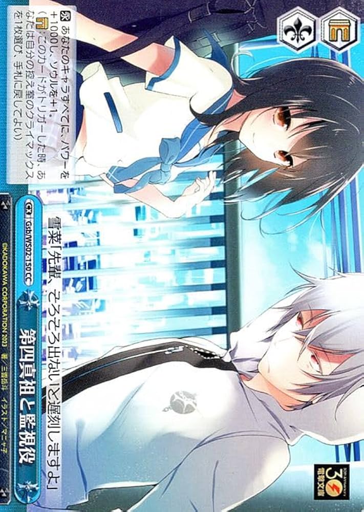 Amazon.co.jp: ヴァイスシュヴァルツ 電撃文庫 第四真祖と監視役(CC