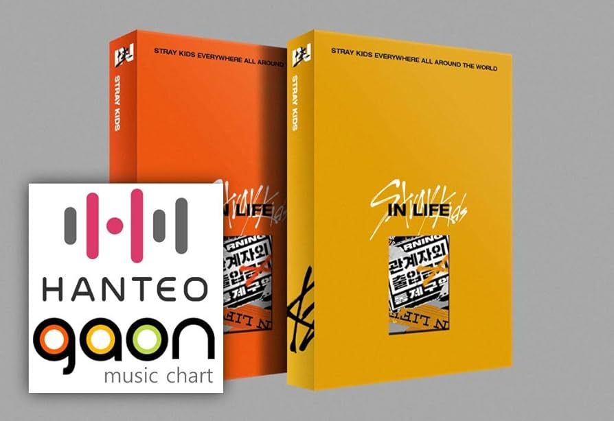 Amazon.com: STRAY KIDS - IN生 (in Life) [Standard Ver. - Random