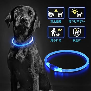 Amazon | PZRLit 光る首輪 犬 散歩 夜 ライト USB 充電式 視認距離500m