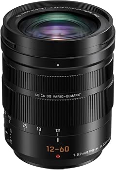 Amazon.com : Panasonic LUMIX Professional 12-60mm Camera Lens