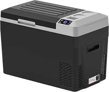 61flwR88lLL._AC_UF350,