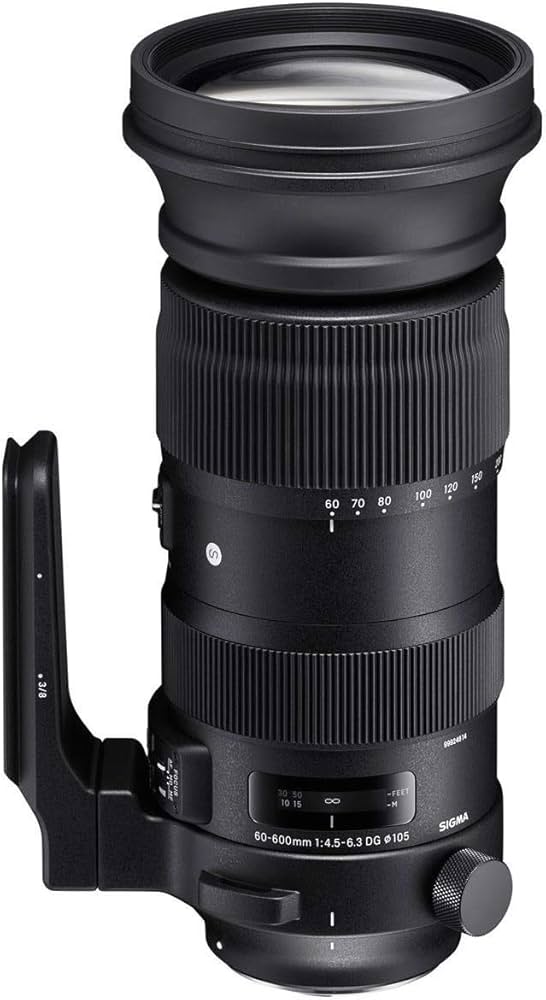 Amazon.com : Sigma 60-600mm F4.5-6.3 DG OS HSM Camera Lenses