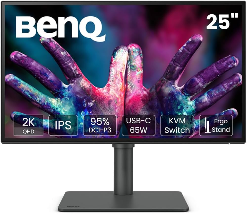Amazon.com: BENQ GL2460 24
