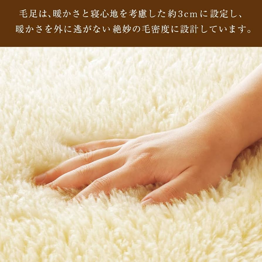 Amazon.co.jp: The PREMIUM Sofwool 掛け毛布 S(シングル) : ホーム