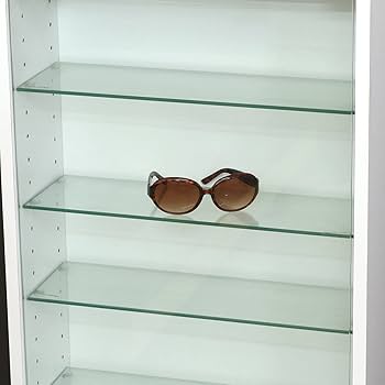 Amazon.co.jp: 不二貿易 コレクションケース フィギュアケース 10段 幅