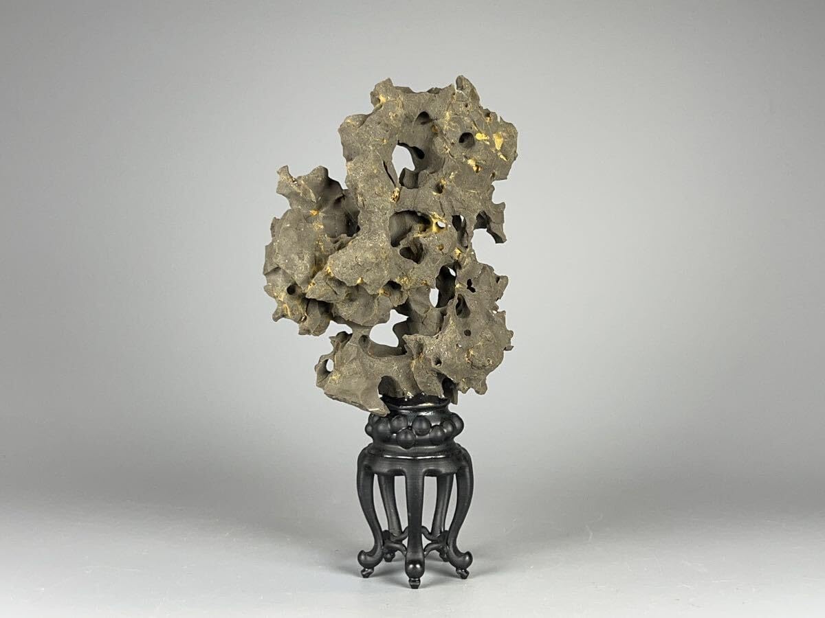 Amazon.co.jp: 鎖雲 中国美術 太湖石 玲瓏石 天然石 奇石 水石 鑑賞石