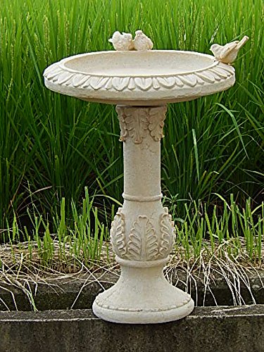 Amazon.co.jp: バードバス置物 ラージフィダーオーナメント