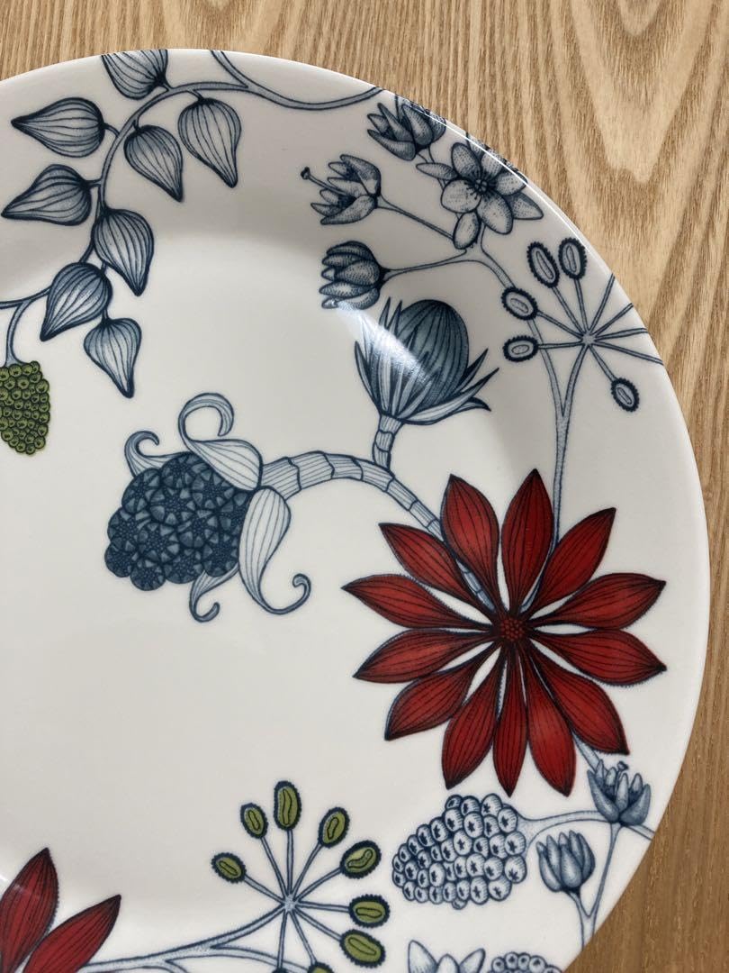 Amazon.co.jp: アラビア ルノ サマーレイ 26cmプレート ARABIA Runo 旧