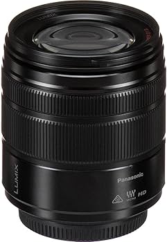 Amazon.co.jp: パナソニック(Panasonic) 高倍率ズームレンズ マイクロ