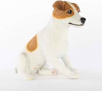 61iI37fuJWL._AC_UF350,