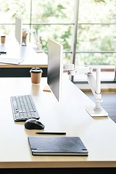 Amazon.co.jp: ERGOTRON エルゴトロン 新 LX Pro LX プロ モニター