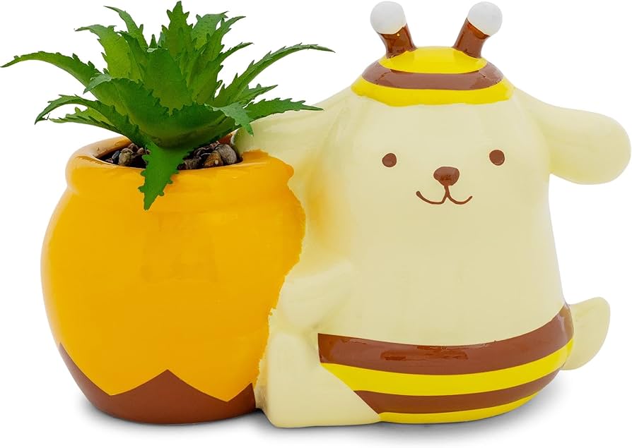 Amazon.com : Silver Buffalo Sanrio Pompompurin Honey Pot 3-Inch