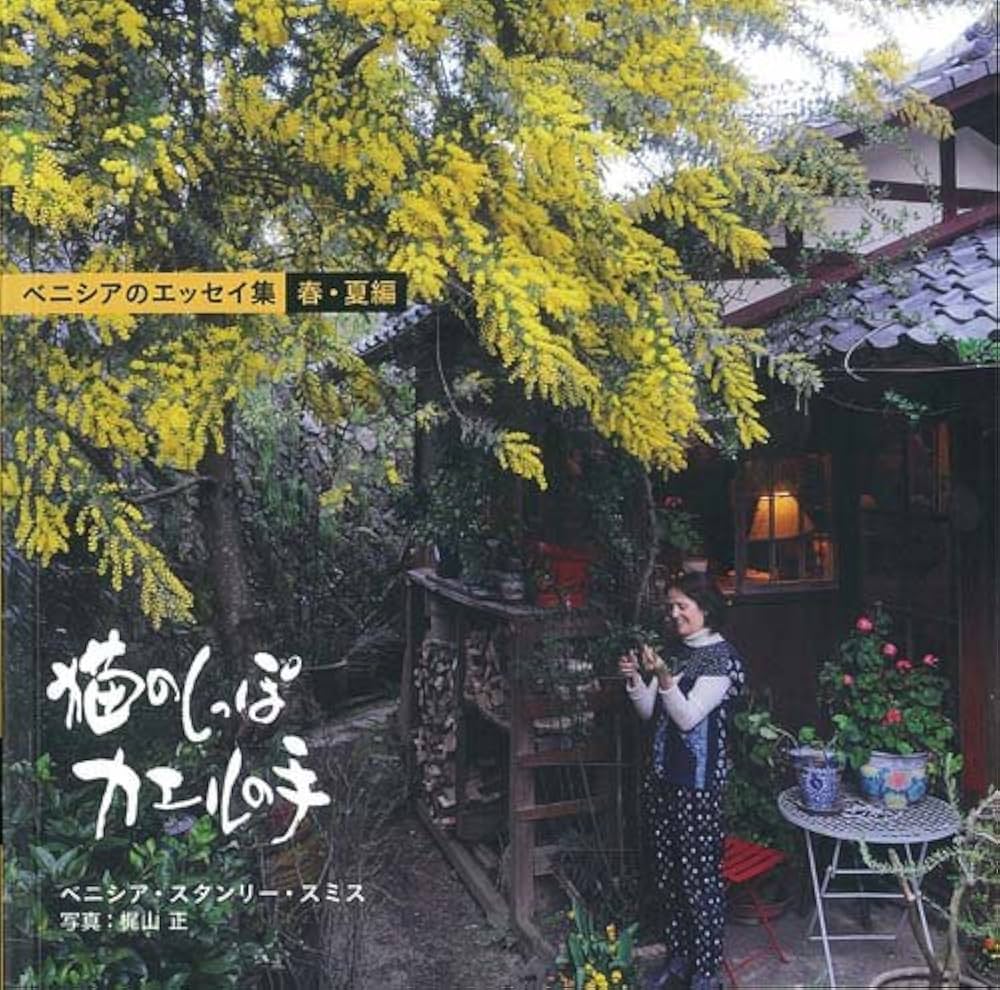 61icHgA+g-L._AC_UF1000,