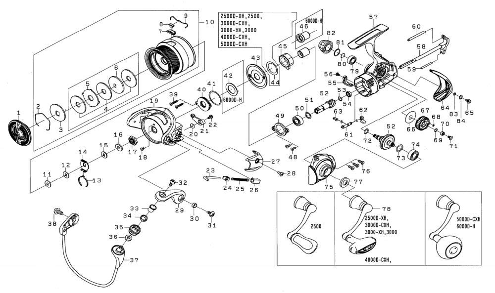 Amazon | ダイワ(DAIWA) 純正パーツ 19 レグザ LT5000D-CXH スプール(2