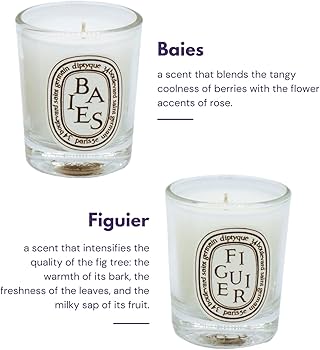 Amazon.co.jp: Diptyque 5個セット ホームアロマテラピーワックス