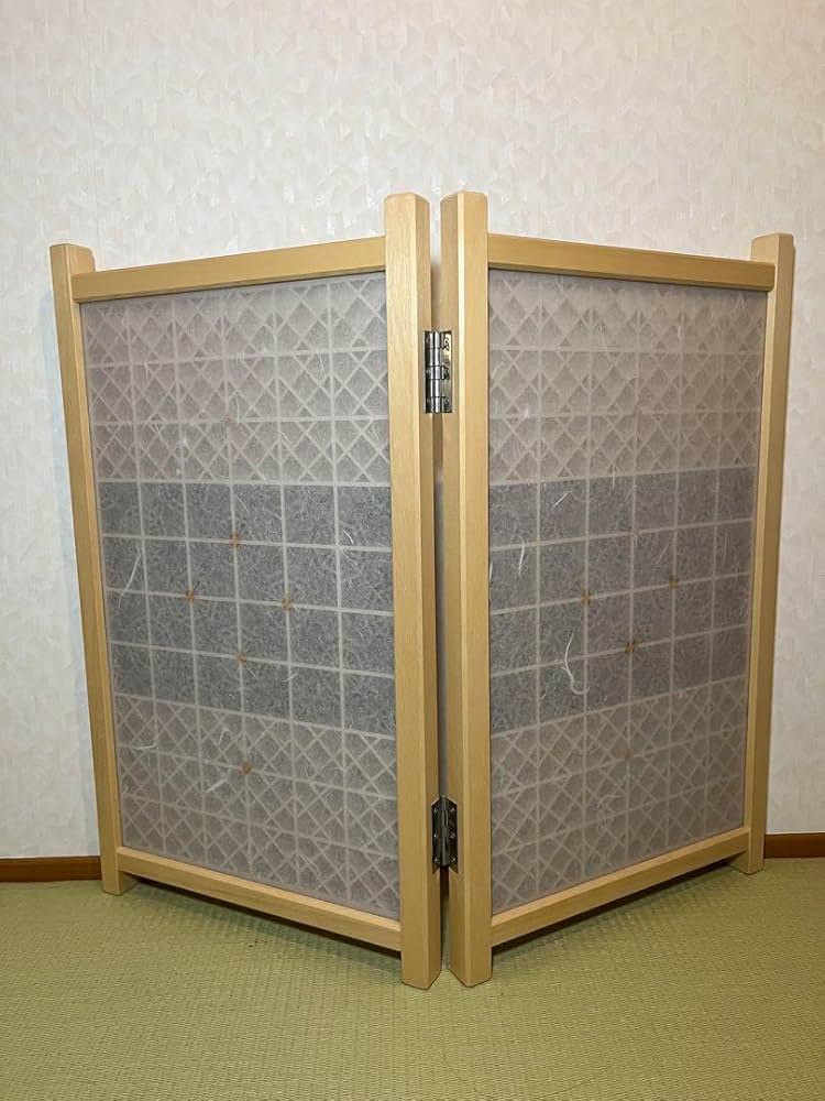 61k1a6ugEFL._AC_UF894,