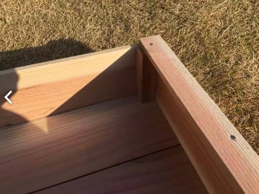 61kBCHNKZDL._AC_UF1000,