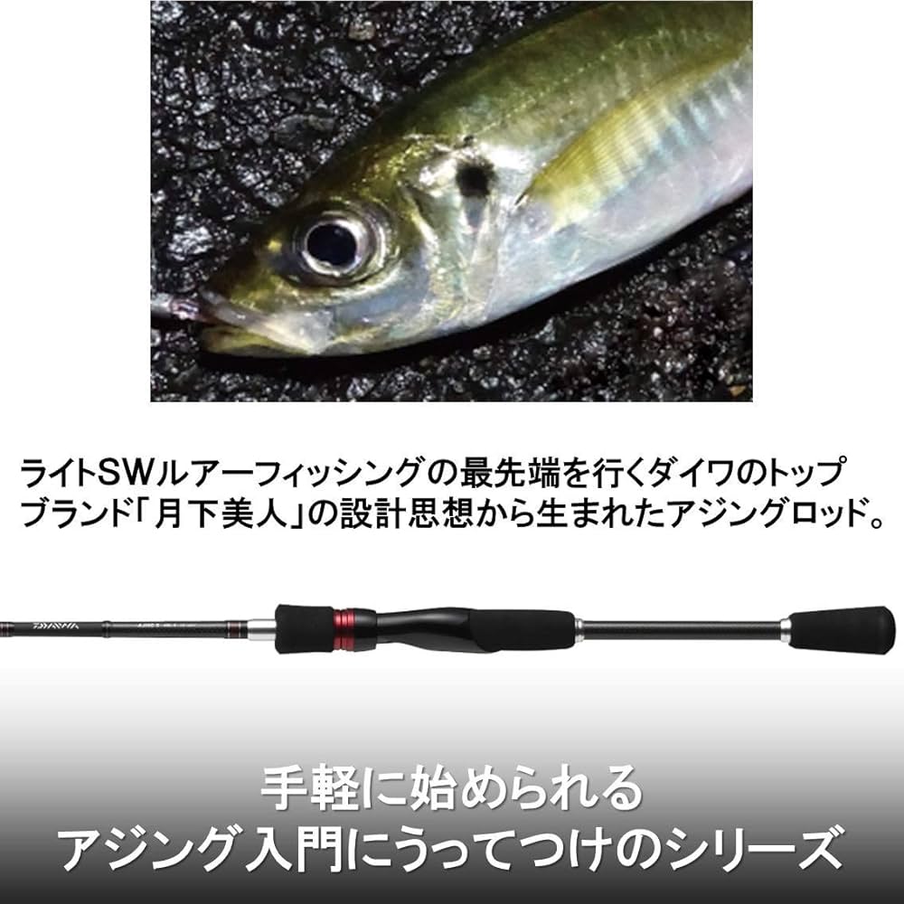 Amazon | ダイワ(DAIWA) アジングロッド アジングX 72L-S 釣り竿