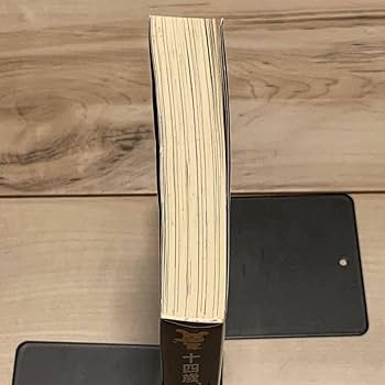 Amazon.co.jp: 林田球イラスト多数掲載絶版希少 初版帯付 中島望 十四