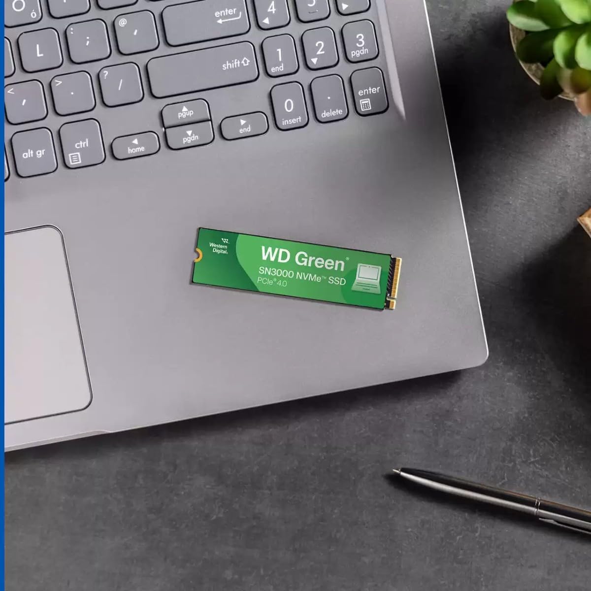 Amazon | Western Digital 1TB WD Green SN3000 NVMe 内蔵SSD
