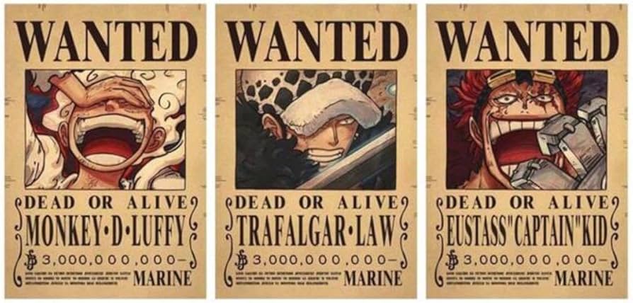 Amazon.co.jp: ONEPIECE ワンピ ース 手配書 ポスター 2枚セット ロー