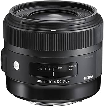 Amazon.com : Sigma 30mm F1.4 Art DC HSM Lens for Nikon : Digital