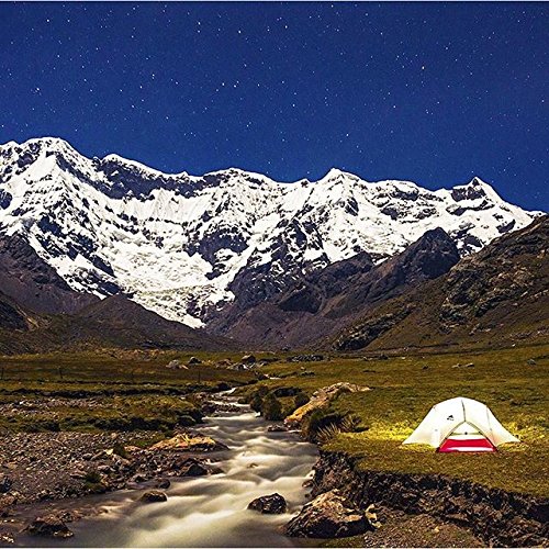 Amazon | MSR Hubba Hubba NX - 2人用テント、グリーン | MSR | タープ