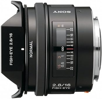 Amazon.com : Sony SAL-16F28 16mm f/2.8 Fisheye Lens for Sony Alpha