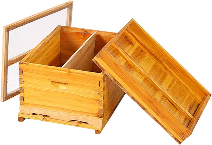 Amazon.co.jp: ミツバチ ミツバチ養殖 巣箱 フローハイブ養蜂セット 大