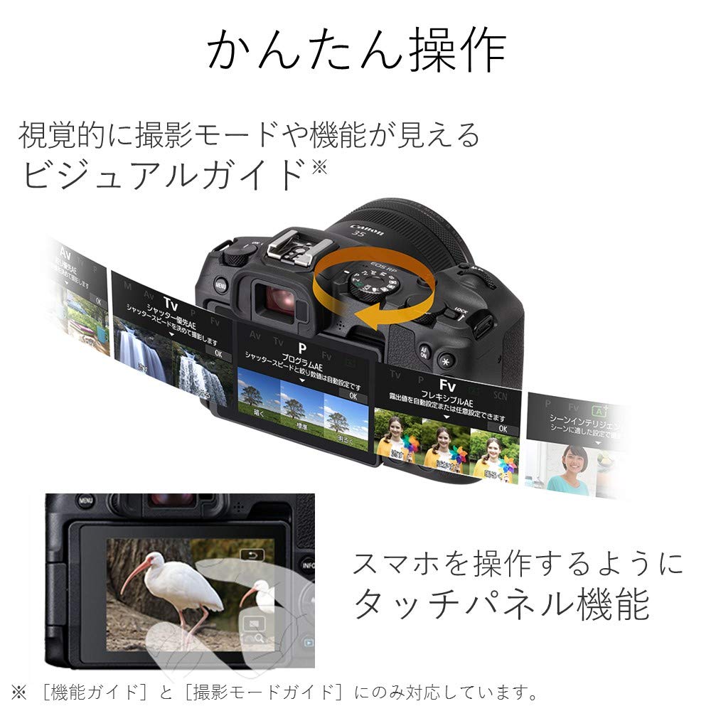 Amazon | Canon ミラーレス一眼カメラ EOS RP マウントアダプター