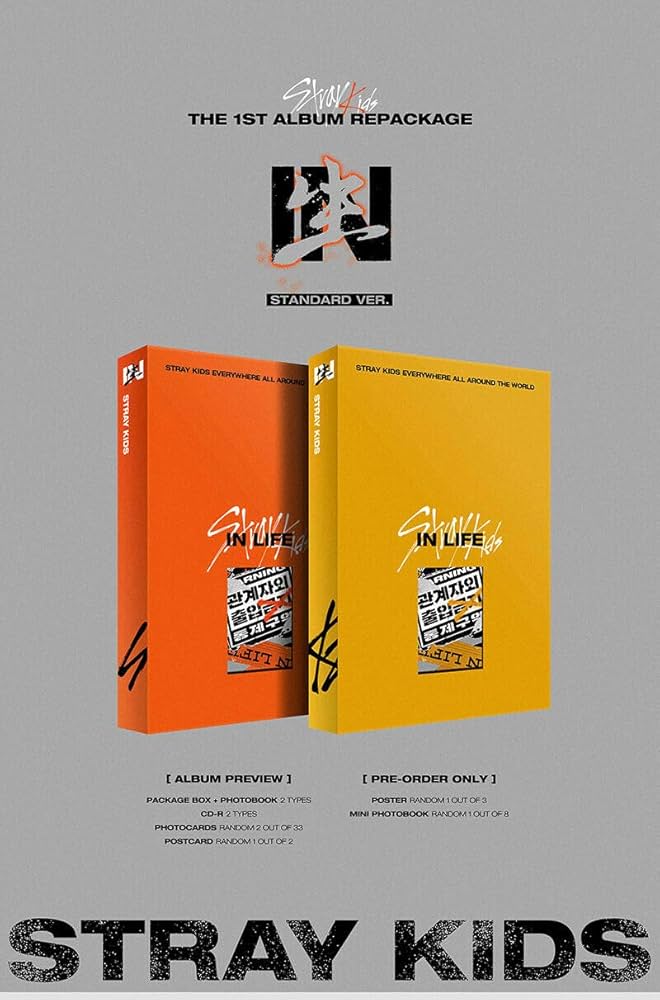 STRAY KIDS, STRAYKIDS - STRAY KIDS [IN生 / IN LIFE] 1st Repackage