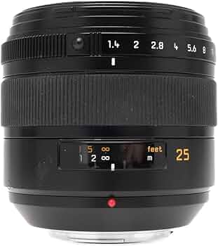 61ldWzb0LZL._AC_UF350,