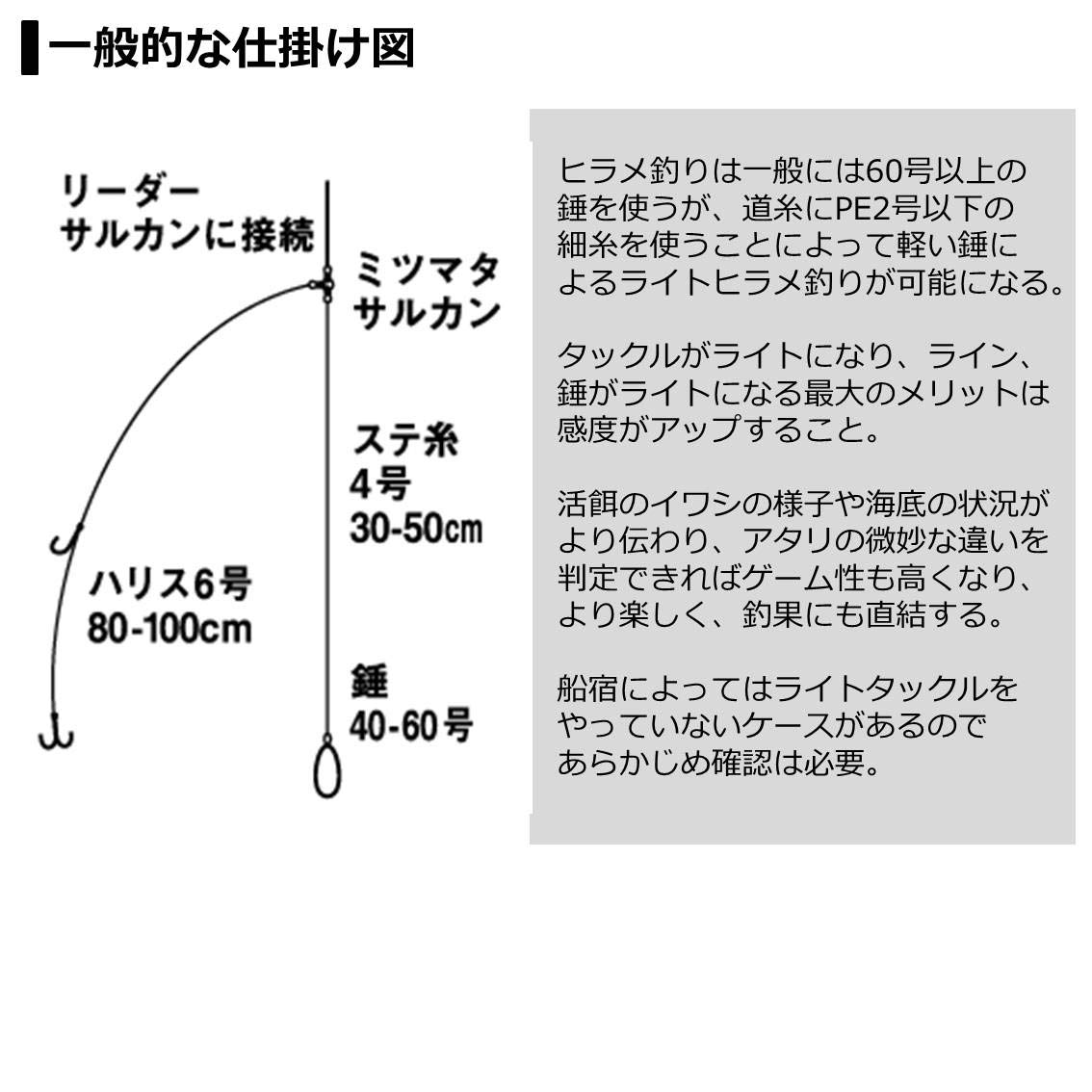Amazon | ダイワ(DAIWA) 20 ライトヒラメX S-230・R | ダイワ(DAIWA