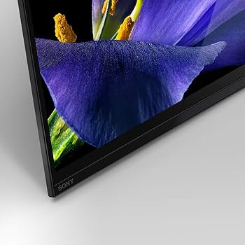 Amazon.co.jp: ソニー 55V型 有機EL テレビ ブラビア KJ-55A9G 4K