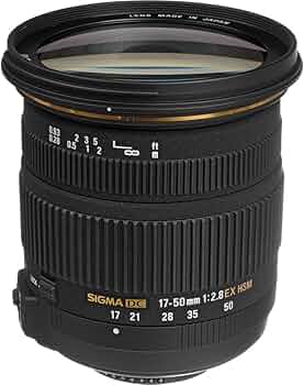 61m8WHSvj4L._AC_UF350,