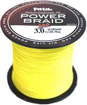 61miPS55wYL._AC_UF350,