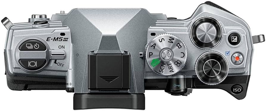 Amazon.com : OM System Olympus OM-D E-M5 Mark III Body Silver