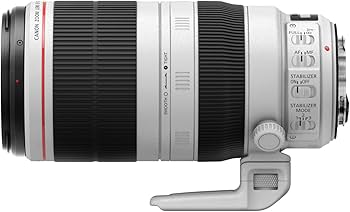 Amazon.co.jp: EF100-400mm F4.5-5.6L IS II USM : 家電＆カメラ