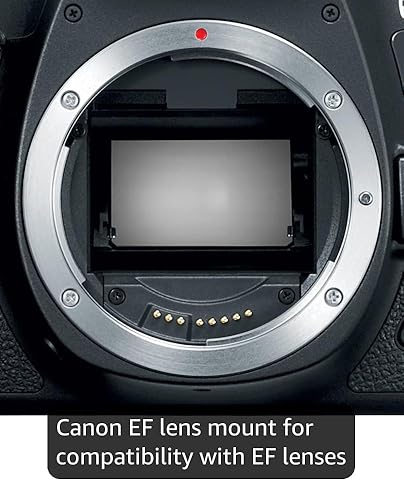 Amazon.com : Canon EOS 6D Mark II Digital SLR Camera Body – Wi-Fi