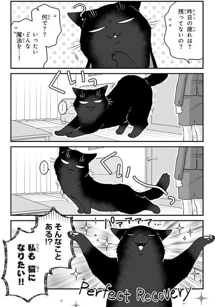 デキる猫は今日も憂鬱(12) (ワイドKC) | 山田 ヒツジ |本 | 通販 | Amazon