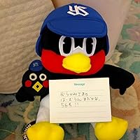 Amazon.co.jp: 三英貿易 東京ヤクルトスワローズ オフィシャルグッズ