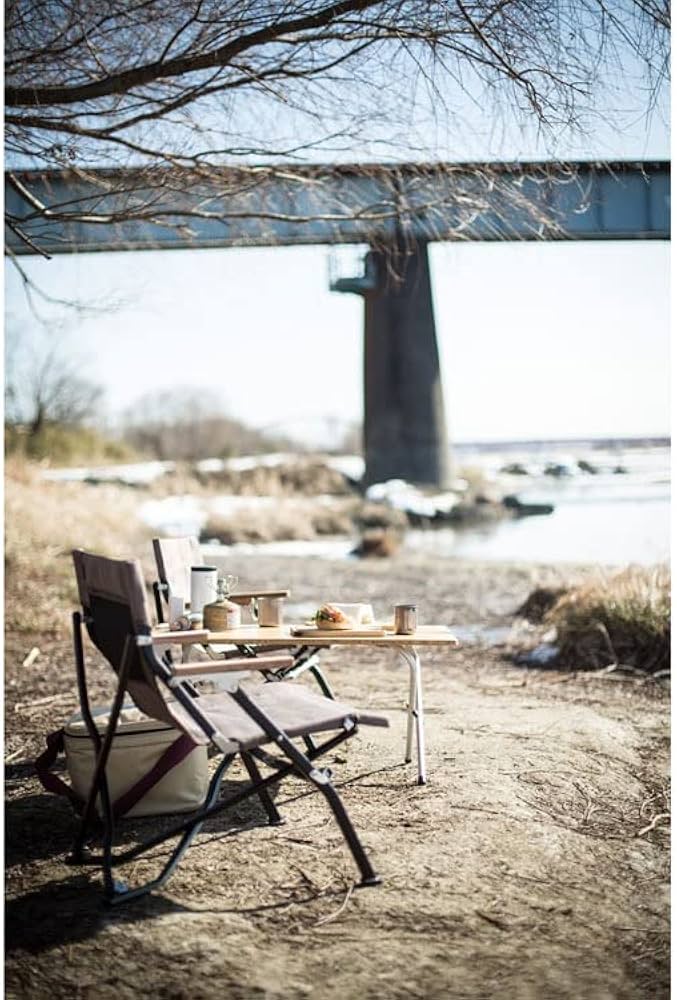 Amazon.co.jp: スノーピーク(snow peak) チェア ローチェア30 ショート